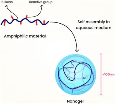 Nanogels as novel drug nanocarriers for CNS drug delivery